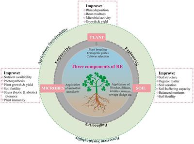 Rhizosphere Engineering With Plant Growth-Promoting Microorganisms for Agriculture and Ecological Sustainability